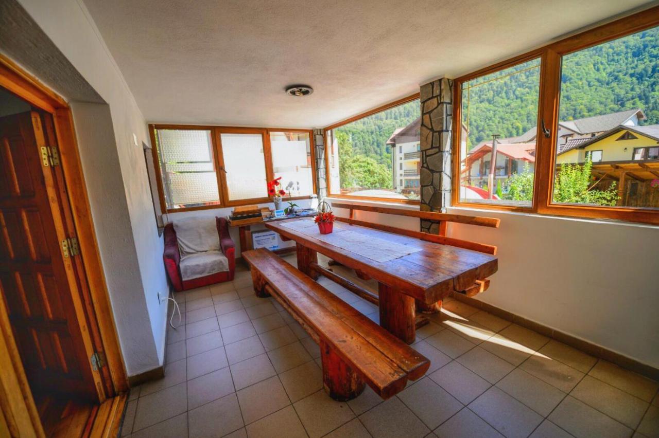 Amandra Chalet シナヤ エクステリア 写真