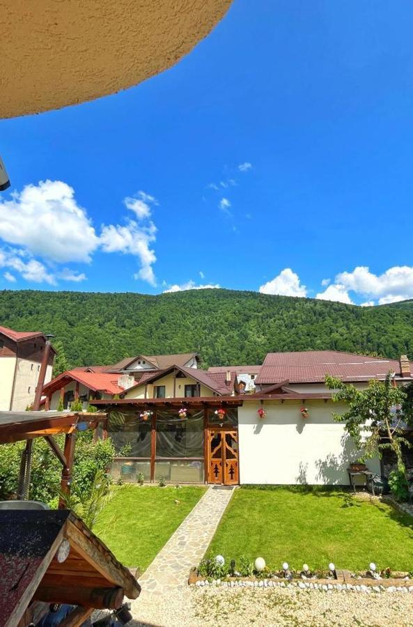 Amandra Chalet シナヤ エクステリア 写真