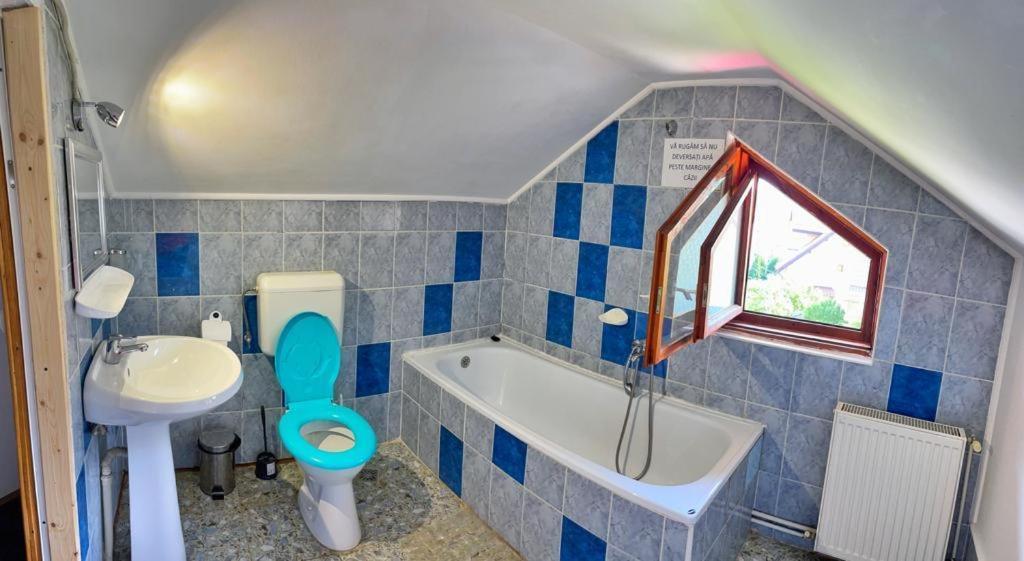 Amandra Chalet シナヤ エクステリア 写真