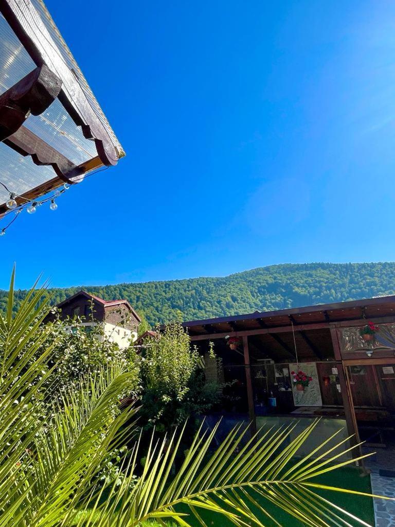 Amandra Chalet シナヤ エクステリア 写真